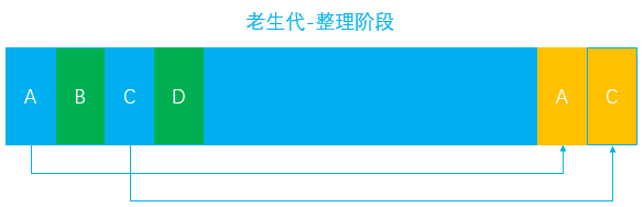 老生代 流程